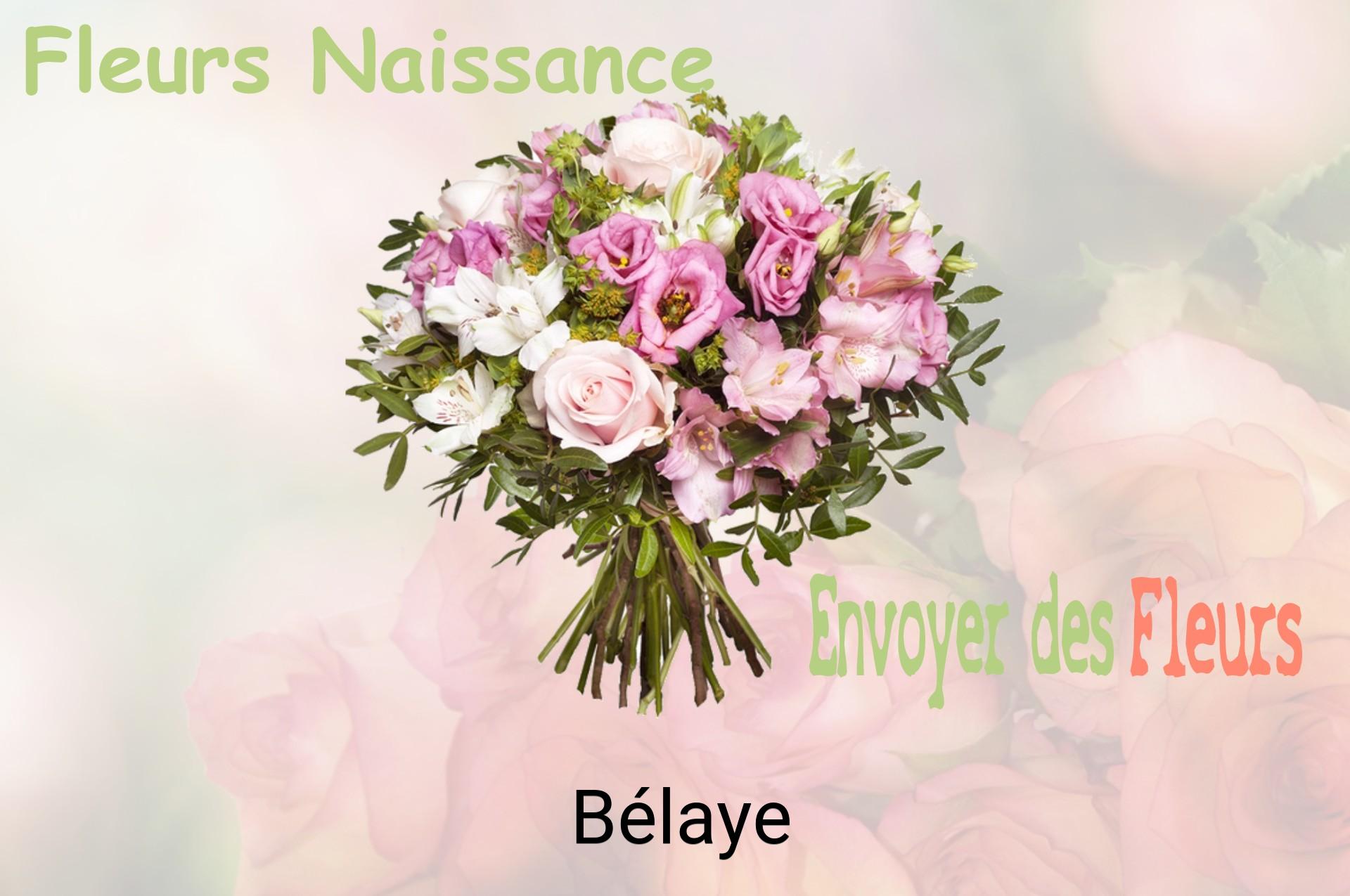 Bouquet de fleurs de naissance livré à Bélaye