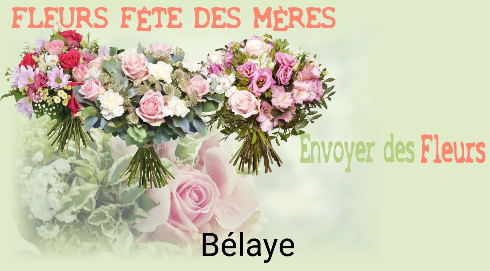 Bouquet de Fête des Mères livré à Bélaye
